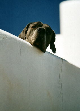 Mallorca 05 -2.jpg